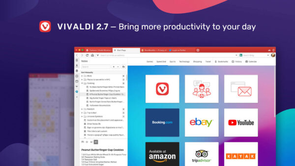 Vivaldi Browser - Image 3